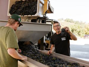 Two men by a conveyer of grapes