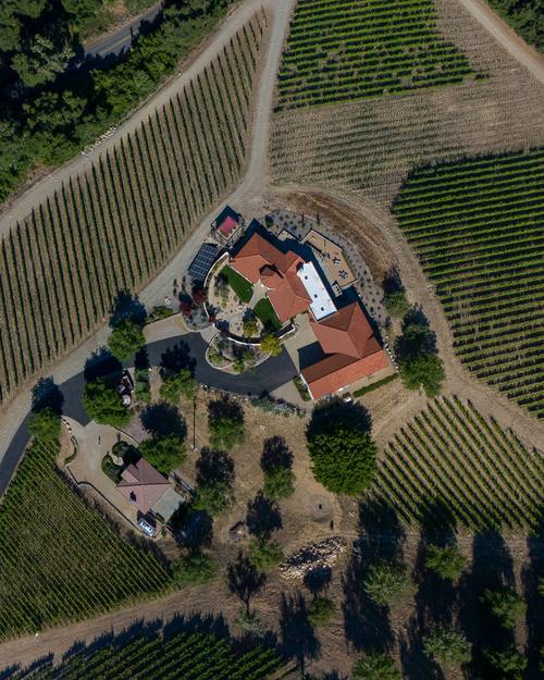 Top view of vineyard